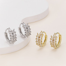 ���s���Ȧ�n�ж����W���h�~��΢�~�Ӛ��|肼tС���U��ϵ�߼��ʯ