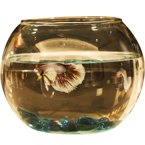 Fish tank round transparent glass living room household small goldfish betta fish turtle tank art mini office desktop