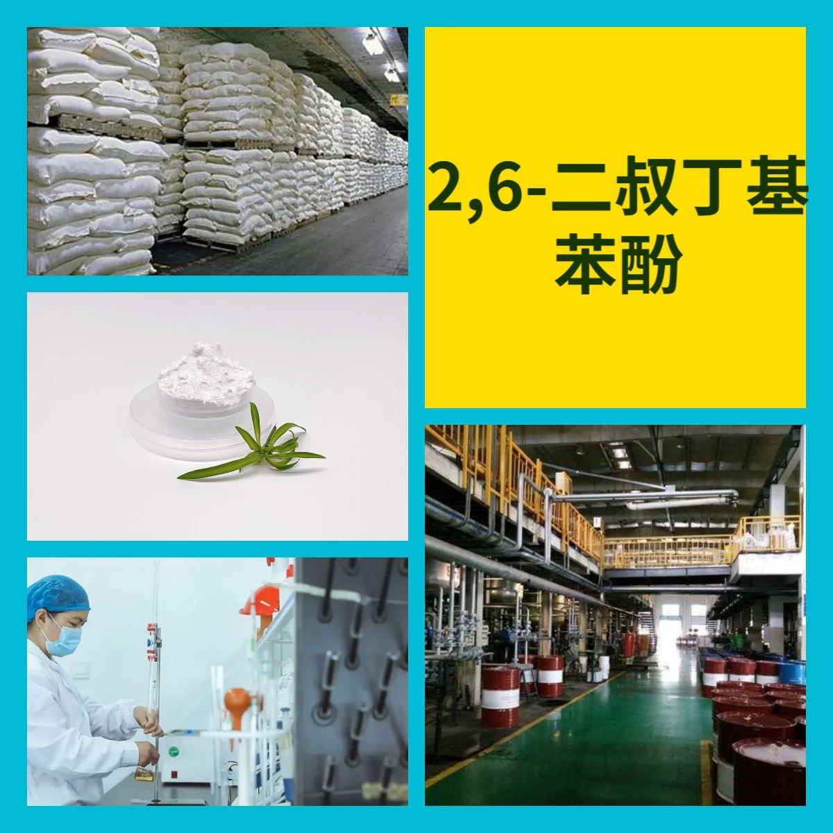 2,6-Ди-терт-бутилфенол Химическая энциклопедия 20 лет опыта производства 99% чистоты универсальное применение Шанхай Чжэцзян