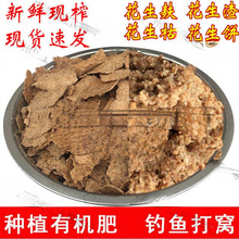 花生麸饼花生枯野钓打窝鱼饵鲤鱼鲮鱼饵钓鱼窝料鱼饲料种植有机肥