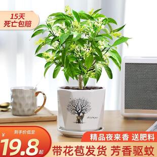 ҹ㻨Ծ㻨̨҃Gֲrļ_