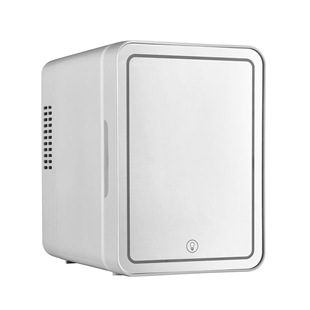 Amazon Hot Beauty Car Refrigerator New 4L LED Mirror Mini Refrigerated Breast Milk Cosmetics