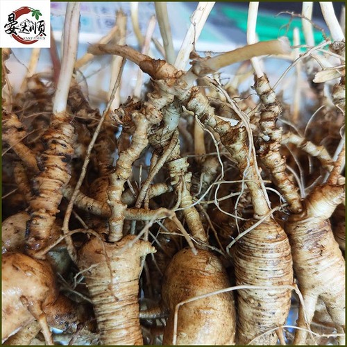Wholesale 30-year-old fresh wild ginseng from Changbai Mountain, used for making wine and cooking soup, wild ginseng seeds, delivered by SF Express