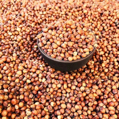 Chinese sorghum Northeast Red Sorghum 20 Trade price Vintage 50 Gaoliang 5 dove feed 10kg