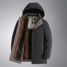 ��ʿ�ﶬ��q���ɲ�ж��đ�̄����e������