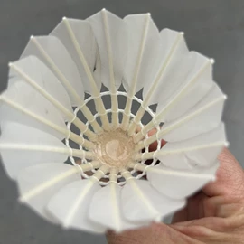 羽毛球;体质测试仪器;羽毛球拍