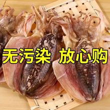 新晒精品大墨鱼干批发正宗东海野生大墨鱼干大乌贼干海鲜干货煲汤