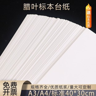 �˱�̨���D�~ֲ��˱��A��ș�ղ錣��40*30cm���Ҙ�׼��a4A3����
