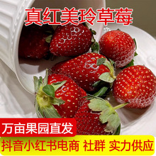 ����S���\����t����������ݮ���r����ˮ����Ů�ѶY��һ�����l