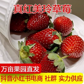 其他水果;哈密瓜;梨