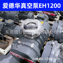 安徽爱德华无油干泵维修IH1800  NXDS20i干式涡旋真空泵油 二手泵