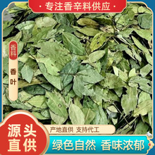 现货批发新货特绿香叶调味品月桂叶桂叶火锅底料卤腌制料卤水商用
