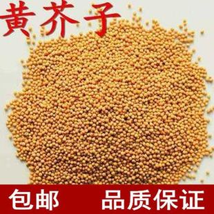 ��ș�� ������S�����������؃r�S����  50-1000g