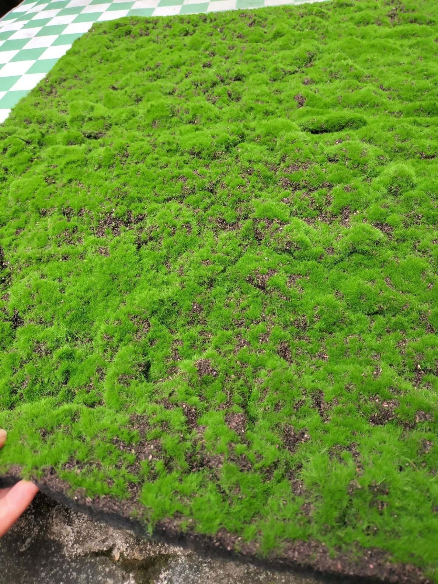 QQ图片20230825214228