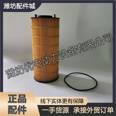 filter element 1006828815 oil – Oil filter