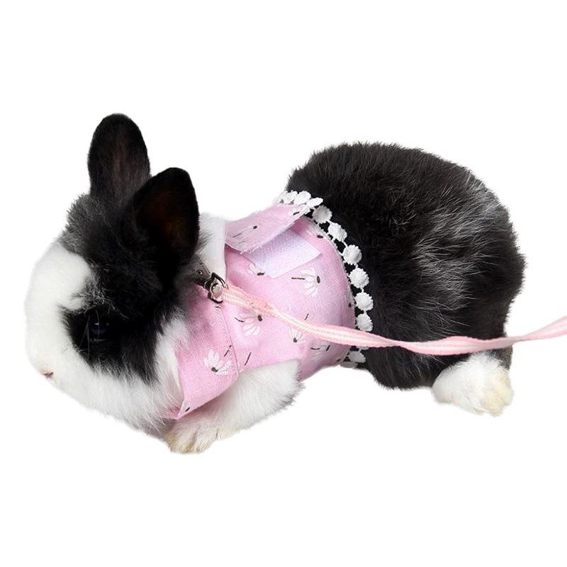 Ji Zaizai маленькая шиншилла, одежда для домашних животных, весенне-летняя одежда, норка, шлейка для домашних животных, морская свинья, прогулочная тяговая веревка
