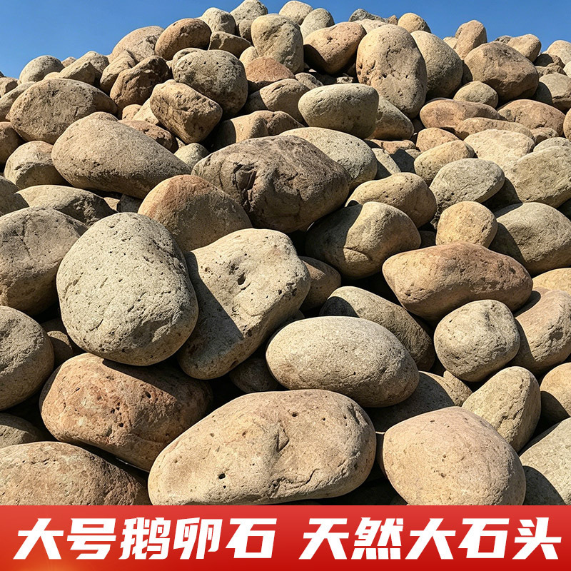 Natural Large Pebbles for Pool Decoration, Garden Fish Pond Landscaping, Large River Pebbles for Riverbank Protection and Embankments, Large Stones