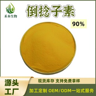 90%���������Sɫ��ĩ ç������ȡ�� Ƥ�w�{��ԭ�� ���ṩCOA