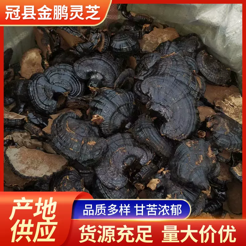 黑灵芝批发黑灵芝批发价格灵芝批发产地货源黑灵芝批发