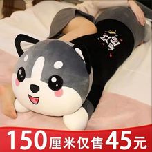哈士奇毛绒玩具公仔狗狗熊布娃娃玩偶睡觉抱枕男女孩生日礼物女友