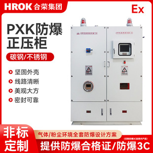 ��������PXK����������304���P䓙��ۉm���w����IP65���o��늙�