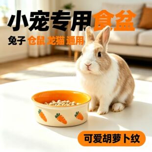 ������}���մ�ʳ������С������؈������m�i؈�䌙����}���մ�
