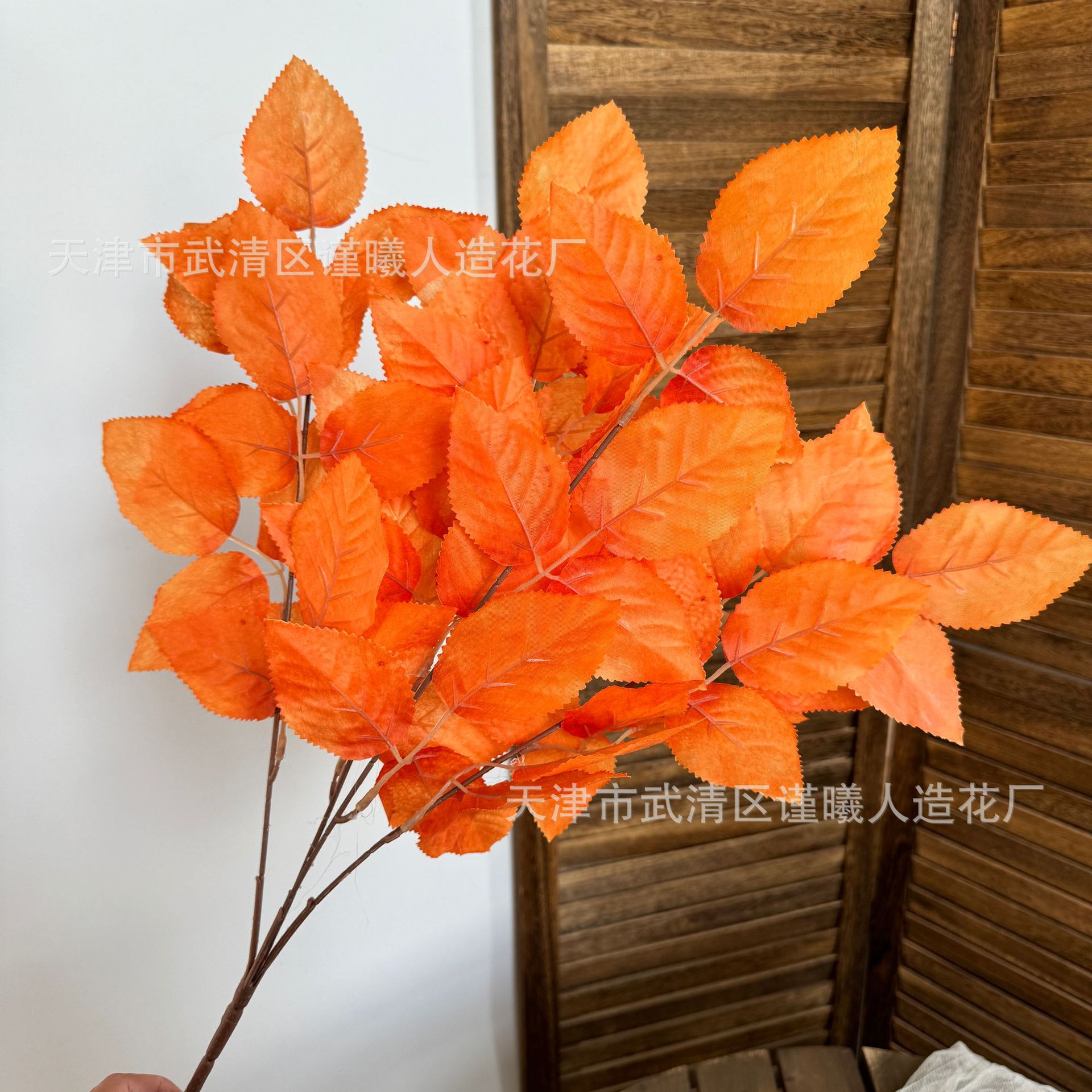 Cầm nhỏ lá hoa hồng