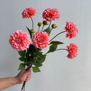 ��Ʒ�|�ָб���2�^������ ��c�[���Ҿ��b����ٻ��zӰ�������l