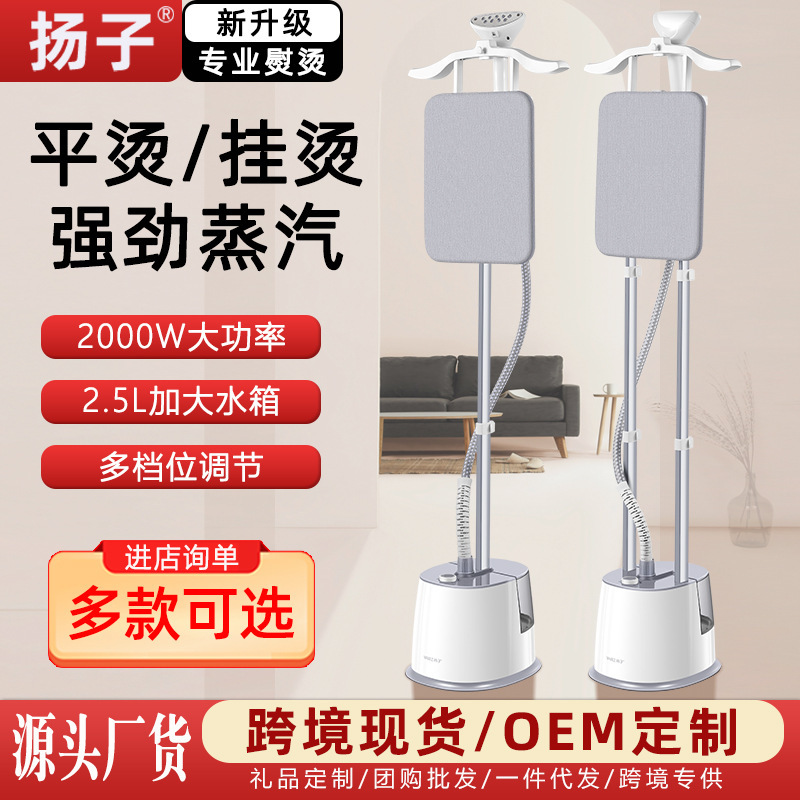 New Model Steam Garment Steamer Handheld Large Steam Small Portable Ironing Machine Vertical Household Clothes Ironing Electric Iron