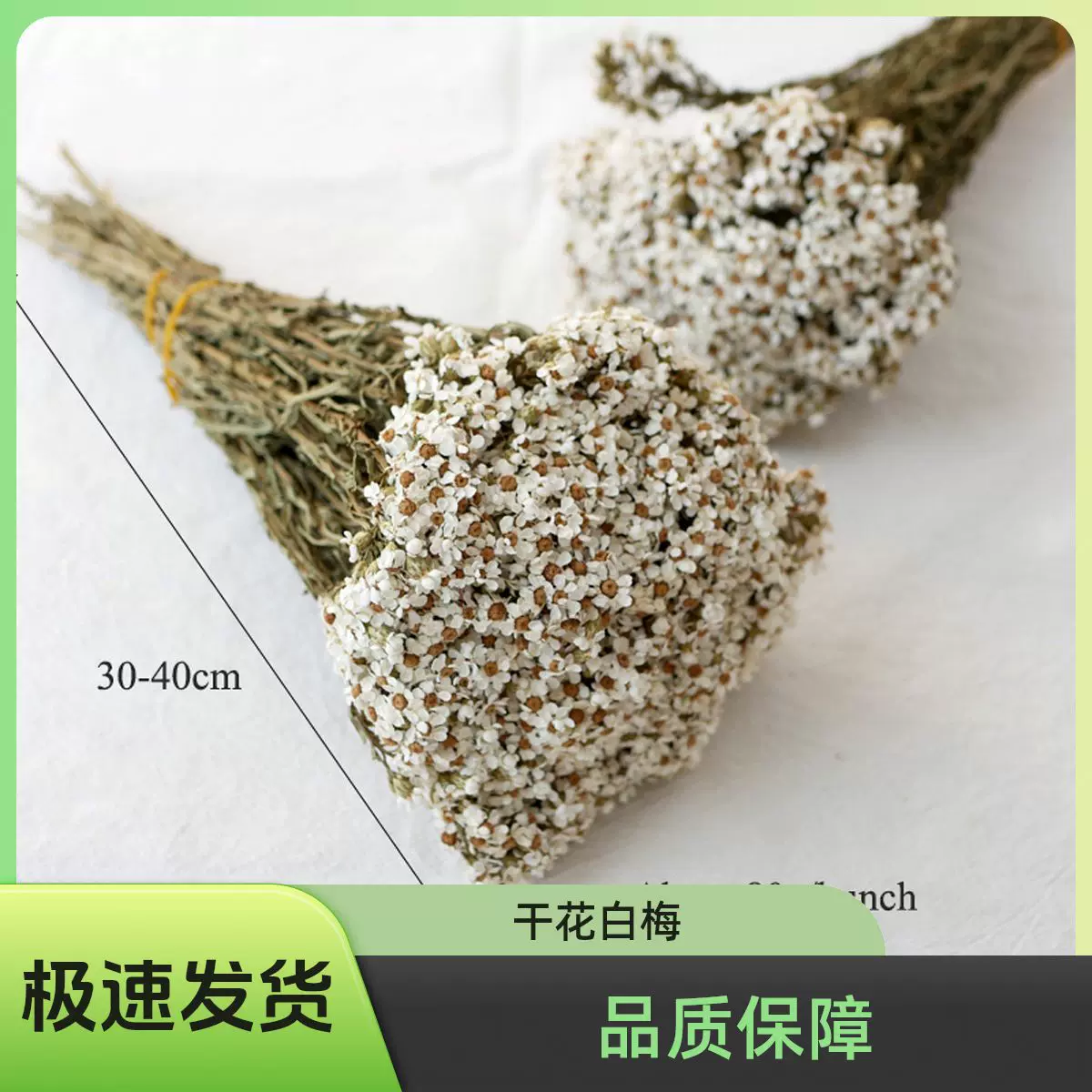 居家花瓶厂家直销饰品香薰蜡烛永生花成品搭配干花法国白梅小白菊