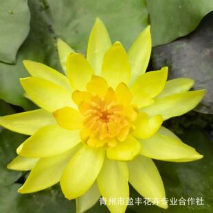 ˯ɏ��ɏ���K����ɻ����oˮ���~���~��ͥԺ����ֲ�������ļ�ˮ��