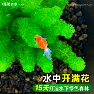 �G��ˮ���~���쾰ֲ�����ˮ��ˮ����������������ˮ�G��ˮ��