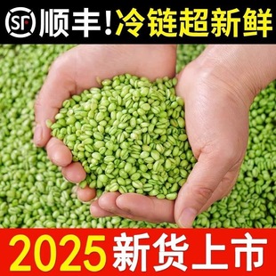 (��S)2025�����r�r���Ԯa������С�������೴��ȥƤ������
