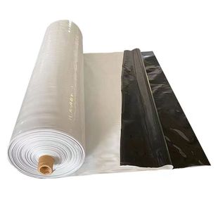 Ultra-Thick Anti-Aging Black and White Film for Cultivating Edible Fungi, Greenhouse Film, Rainproof, Sunproof and Heat Insulation Film, Other Dayping [Free Shipping