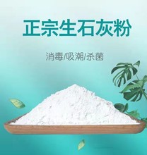 生石灰粉50斤土壤消毒杀菌杀虫净水干燥除湿防潮防霉白灰刷树袋装