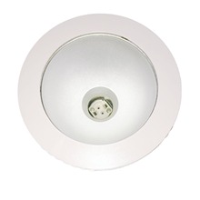 飞利浦明装金卤筒灯MCS145/CDM-T 70W 飞利浦筒灯