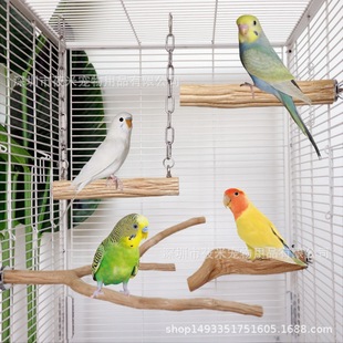 �W�^�Bվ�U��Ϣԭľ��ȻӲľվ��վ������B�ĥצ��Ϣվ���B�\��