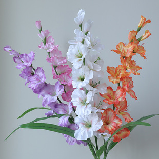 �����ֻ���m��ػ������� ���Ѹ����_�m�ٻ������b�c�OӋ��