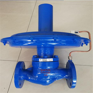 �p�|�й���ZZVP-16P DN125����ʽ�߉����{���y
