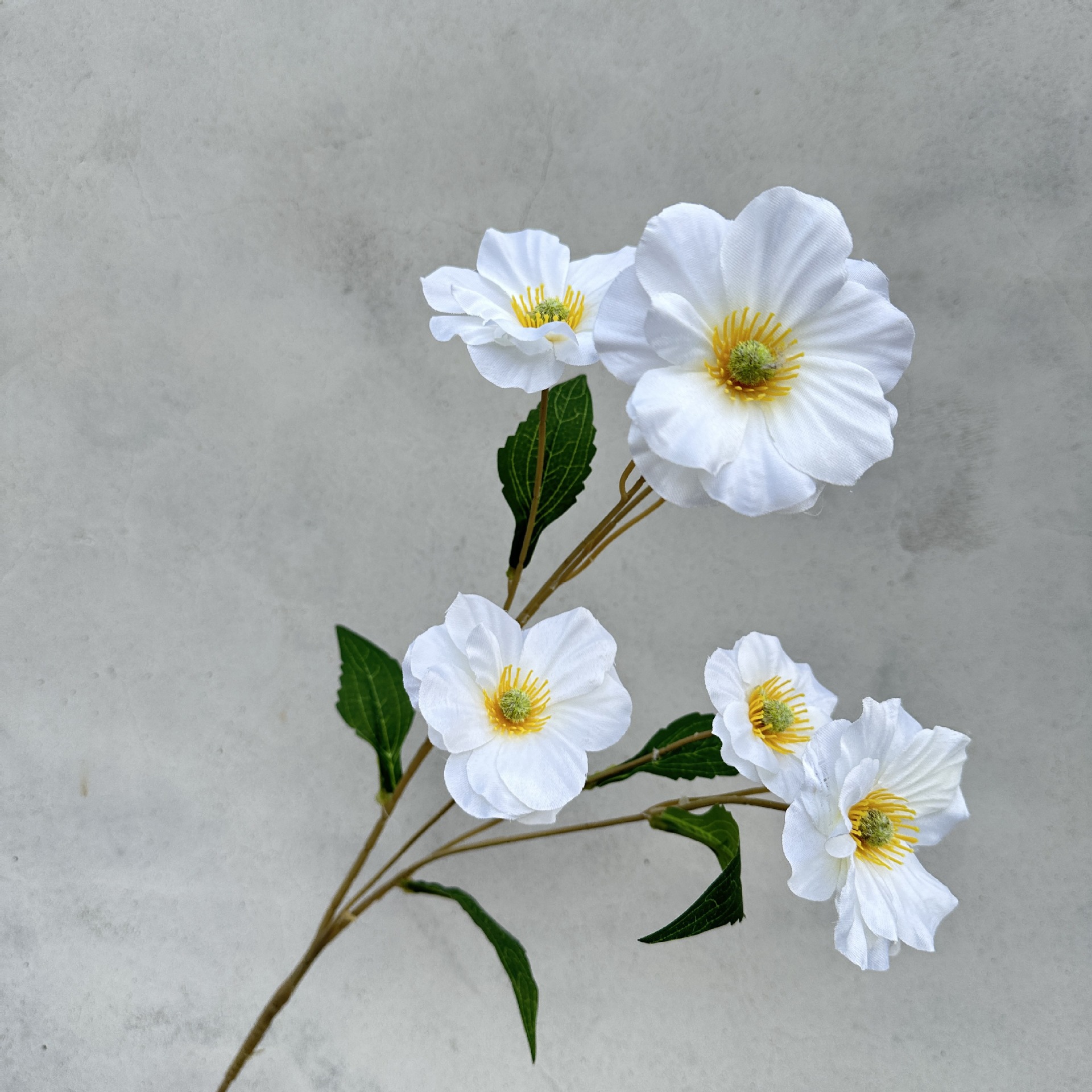 Butterfly Flower-White