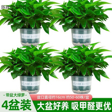 ~G}҃ȿ͏dȩ՚ֲGֲkҾGjl