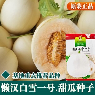 ����ϷN�Ӱ�ѩ�������ѩ�������۹Ϯa���߿��� ���ؿڸк�