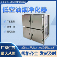 厂家供应商用酒店餐厅低空油烟净化器除味静电式分离净味商用高效