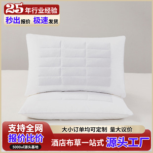 Five-star Hotel Buckwheat Pillow Homestay Hotel Adult Cervical Pillow Student Dormitory Pillow Pillow Core Hotel Supplies