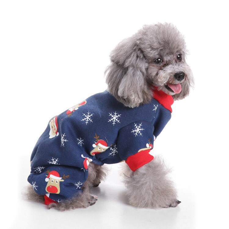 爆金犬ハロウィーンは服装をしている祝日を祝って、高強マジックはしわに強いペット服装をしている|undefined