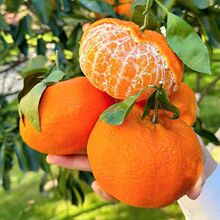 �Fժ����Ҋ����ժ�������r�ЋDˮ���������S���fһ�����l