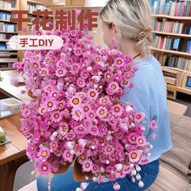 干花;永生花;鲜花花艺制品