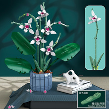 ��ͯ�eľС�w�����Ի���m�� DIY�҃ȼҾӔ[��ƴ�b����ĳ�߷eľ