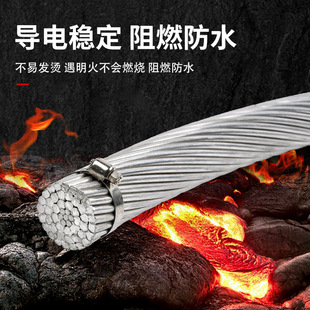 Steel Core Aluminum Alloy Stranded Wire Customized Cable Manufacturer Lgj240/30-630/55 Power Transmission Engineering Construction Supply