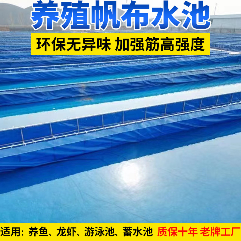 帆布鱼池锦鲤水产养殖大棚防水布加厚刀刮布蓄水池塑料水箱批发